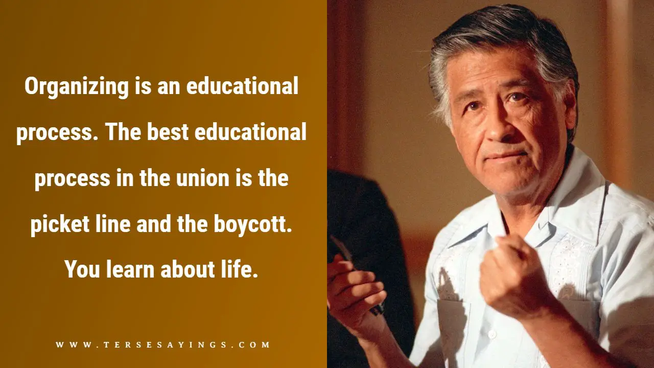 Cesar Chavez Quotes on Labor