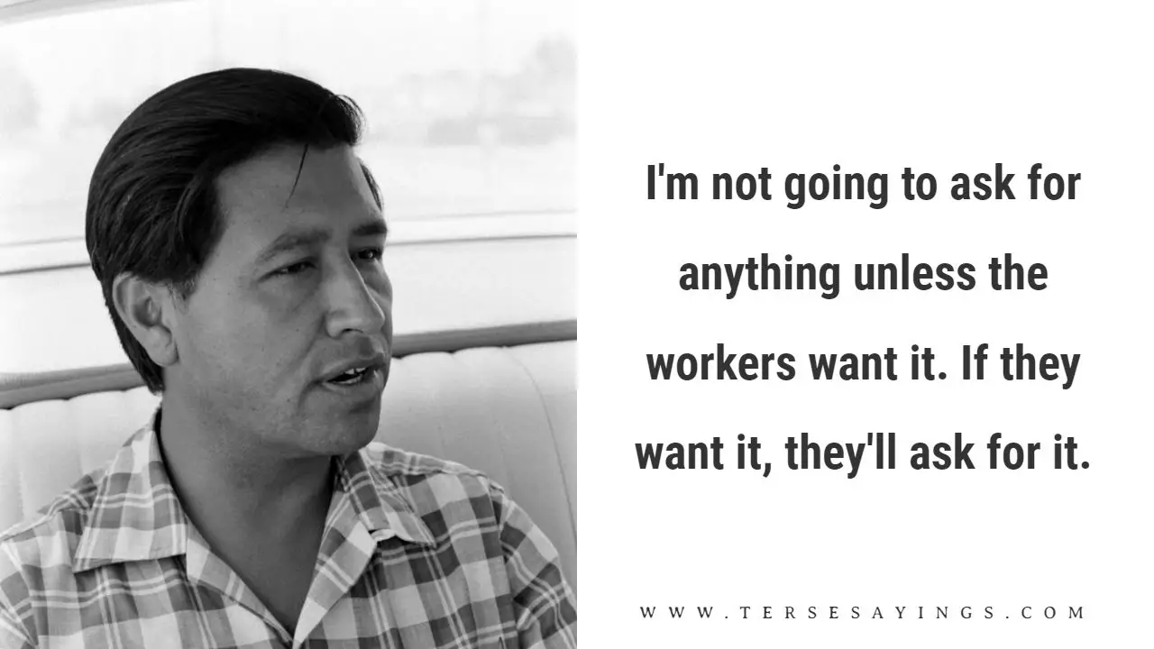 Cesar Chavez Quotes Si Se Puede