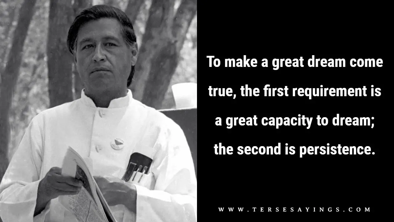 Cesar Chavez Quotes Social Change