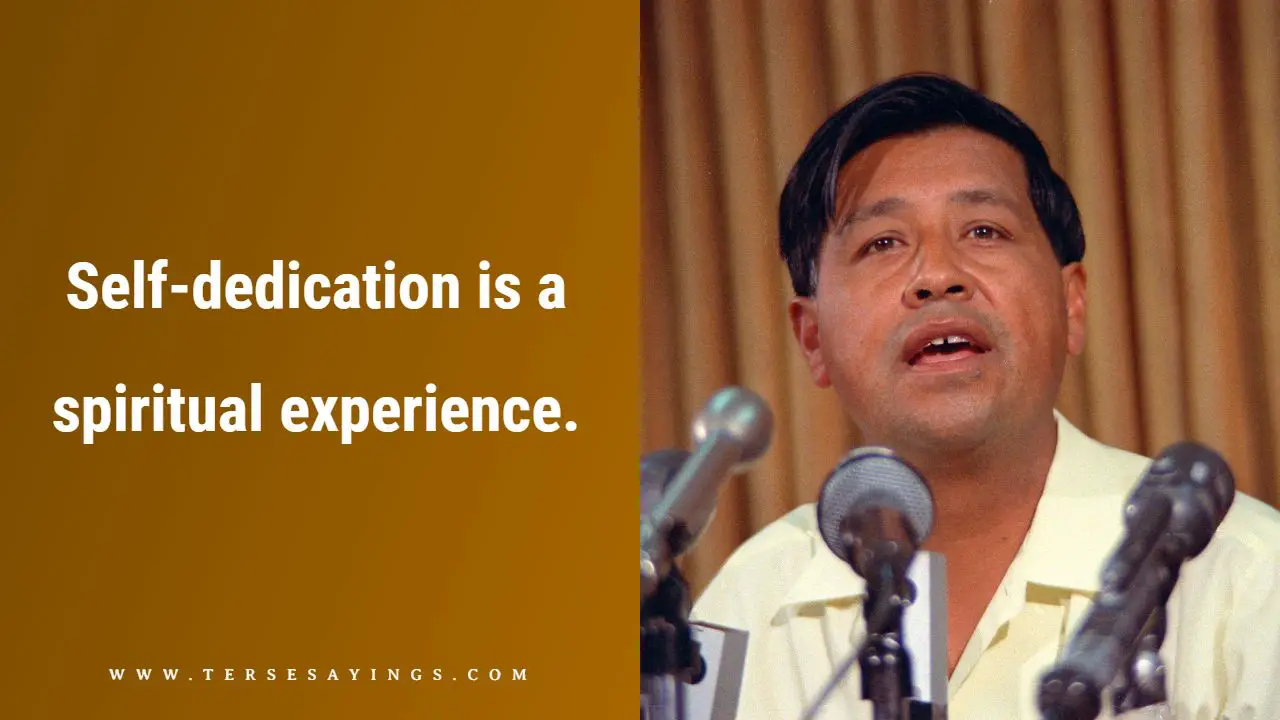 Cesar Chavez Short Quotes