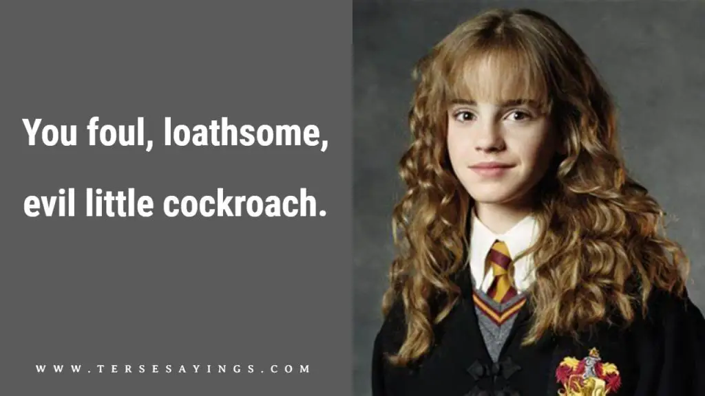 Hermione Granger Quotes, Best Hermione Granger Quotes