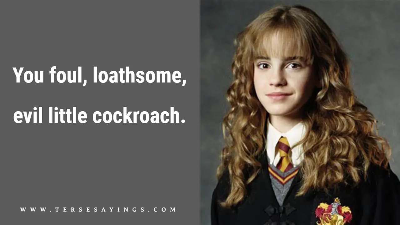 Famous Hermione Granger Quotes