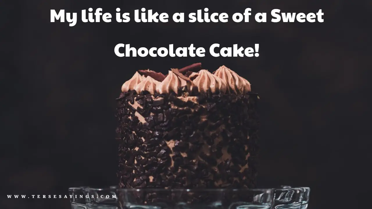 Best 300 Cake Captions and Quotes for Instagram In 2023