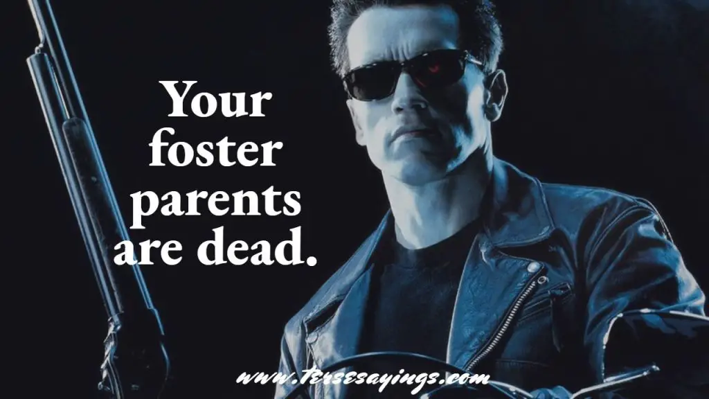 terminator quotes will not stop