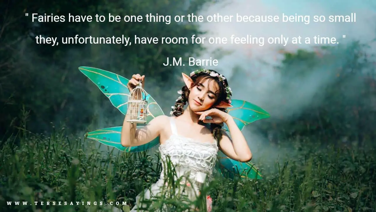 Best Fairy Quotes
