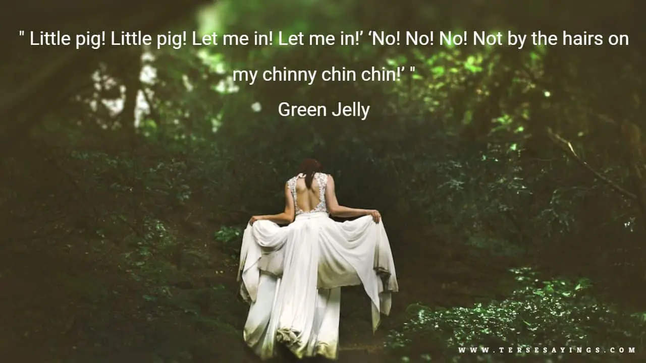 Fairy Quotes Funny