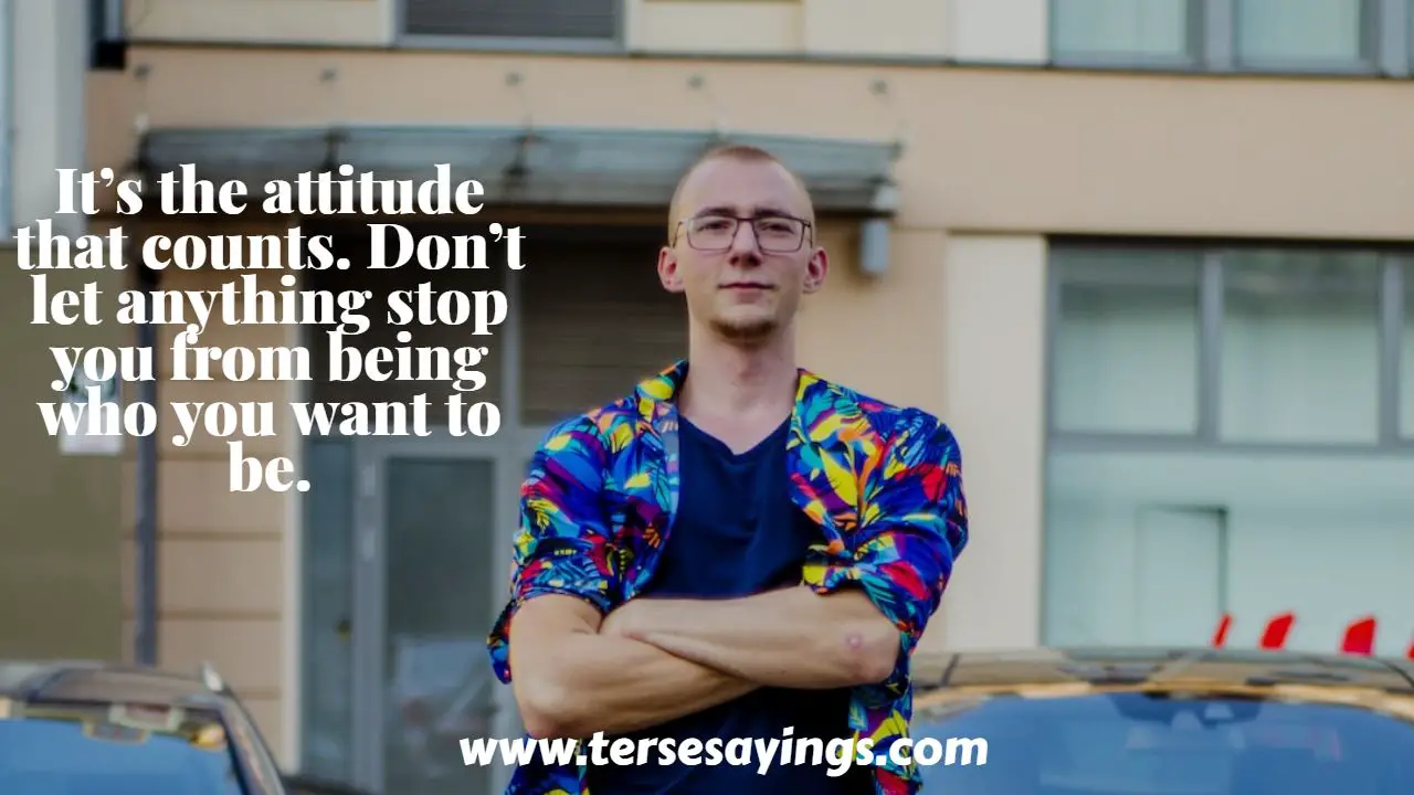 i_don_t_care_attitude_quotes