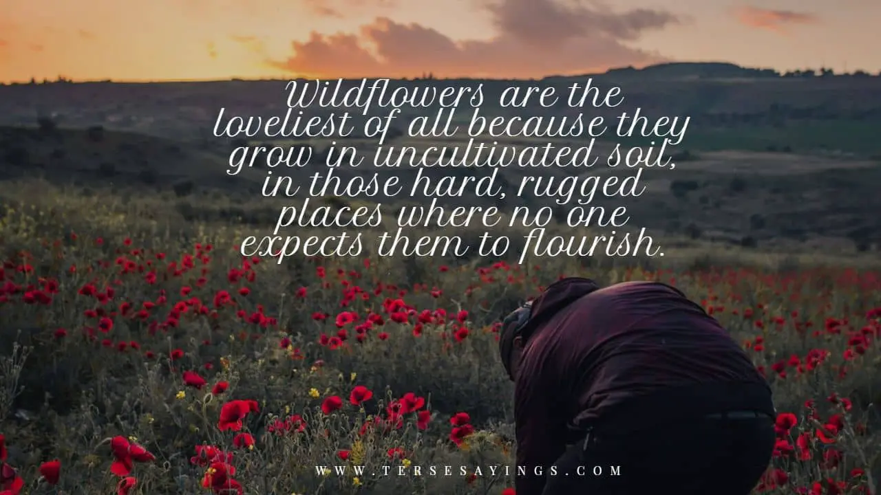 inspirational wildflower quotes
