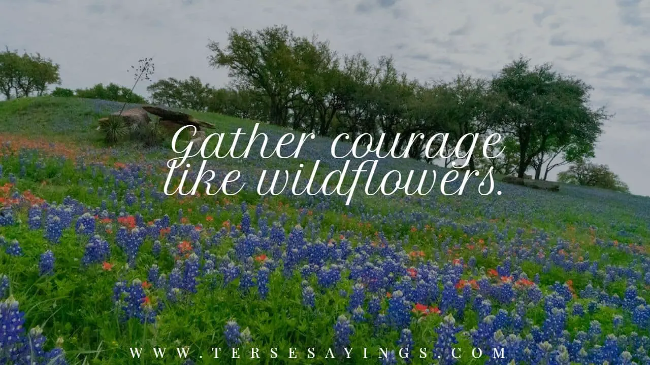 short wildflower quotes