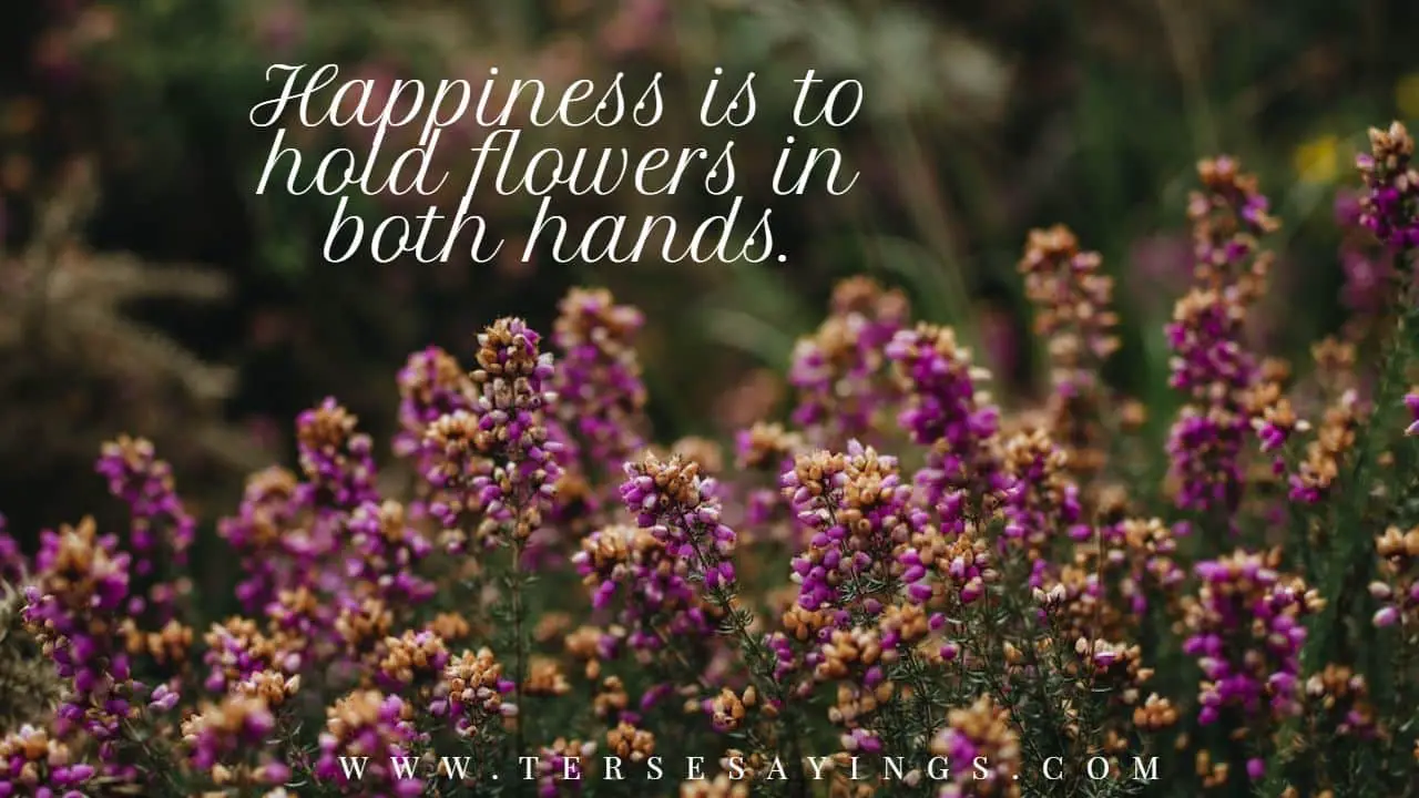 wildflower_quote_for_instagram