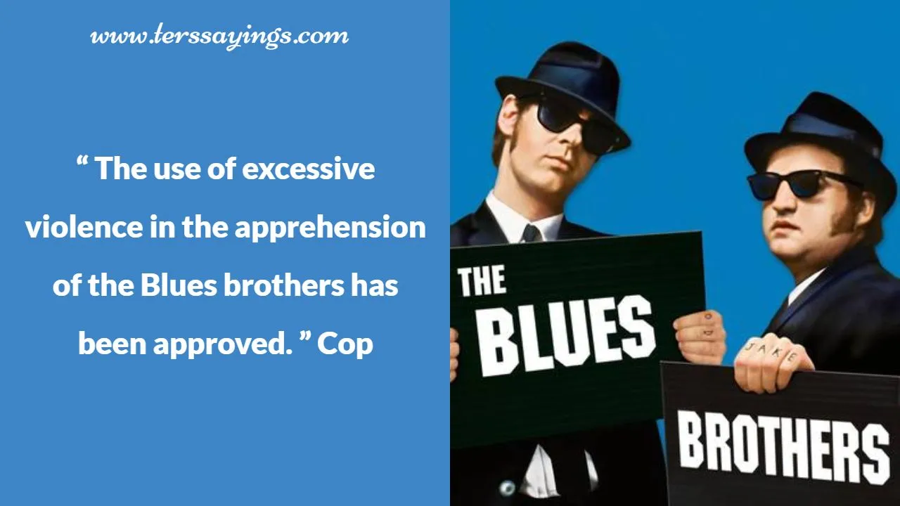 Blues Brothers Quotes Sunglasses