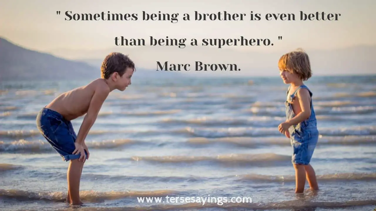 Brotherhood Quotes Funny