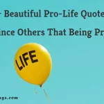 Best 60+ Bible Pro Life Quotes That Teach Us To Embrace Life