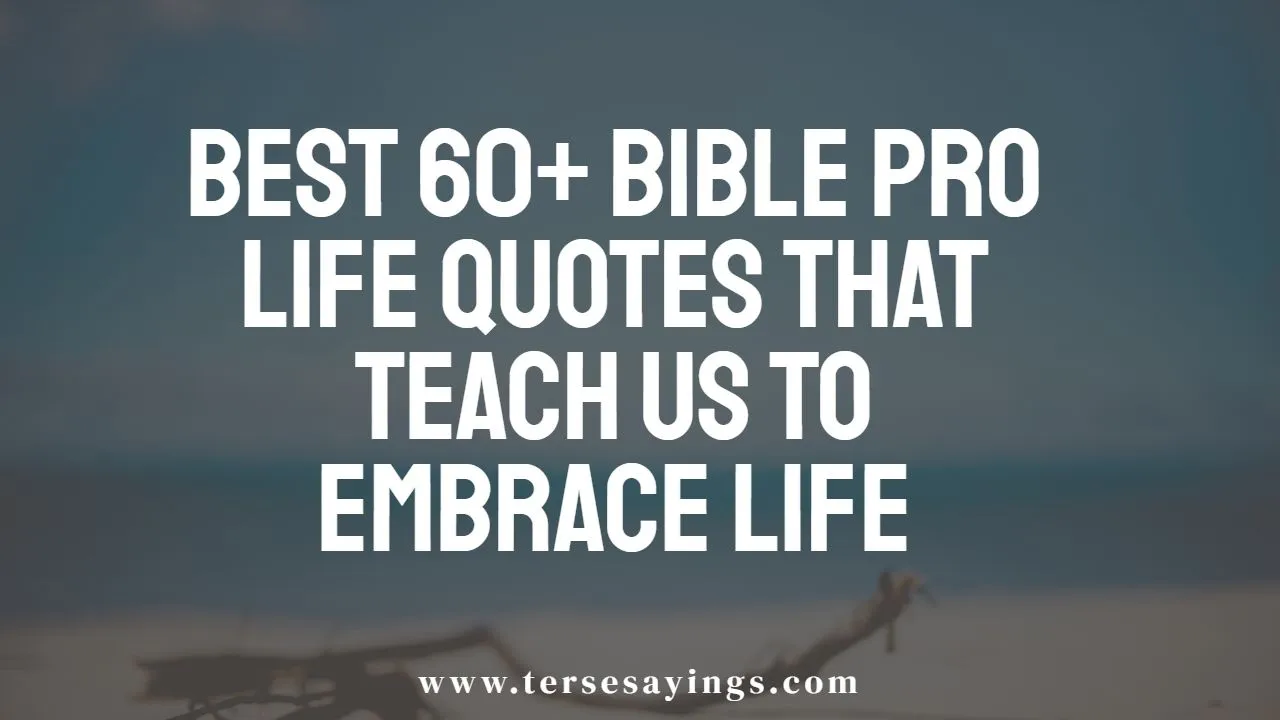 best_60__bible_pro_life_quotes_that_teach_us_to_embrace_life