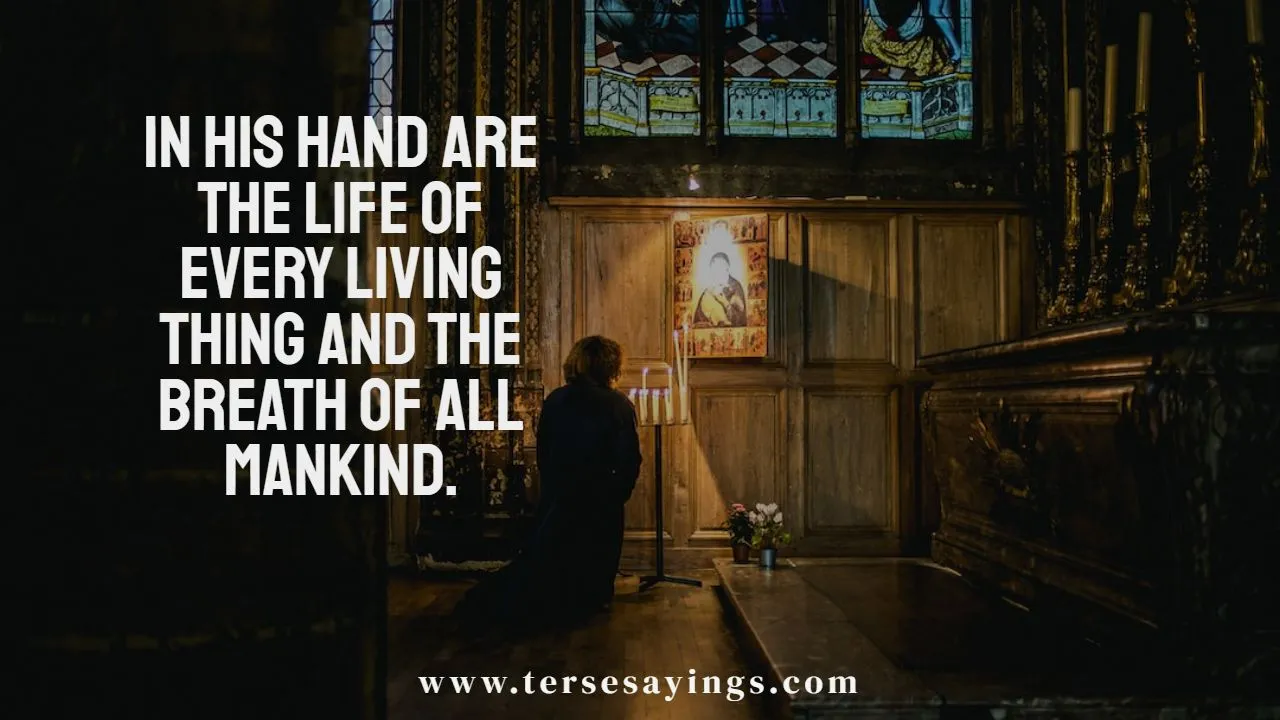 catholic_quotes_on_sanctity_of_life