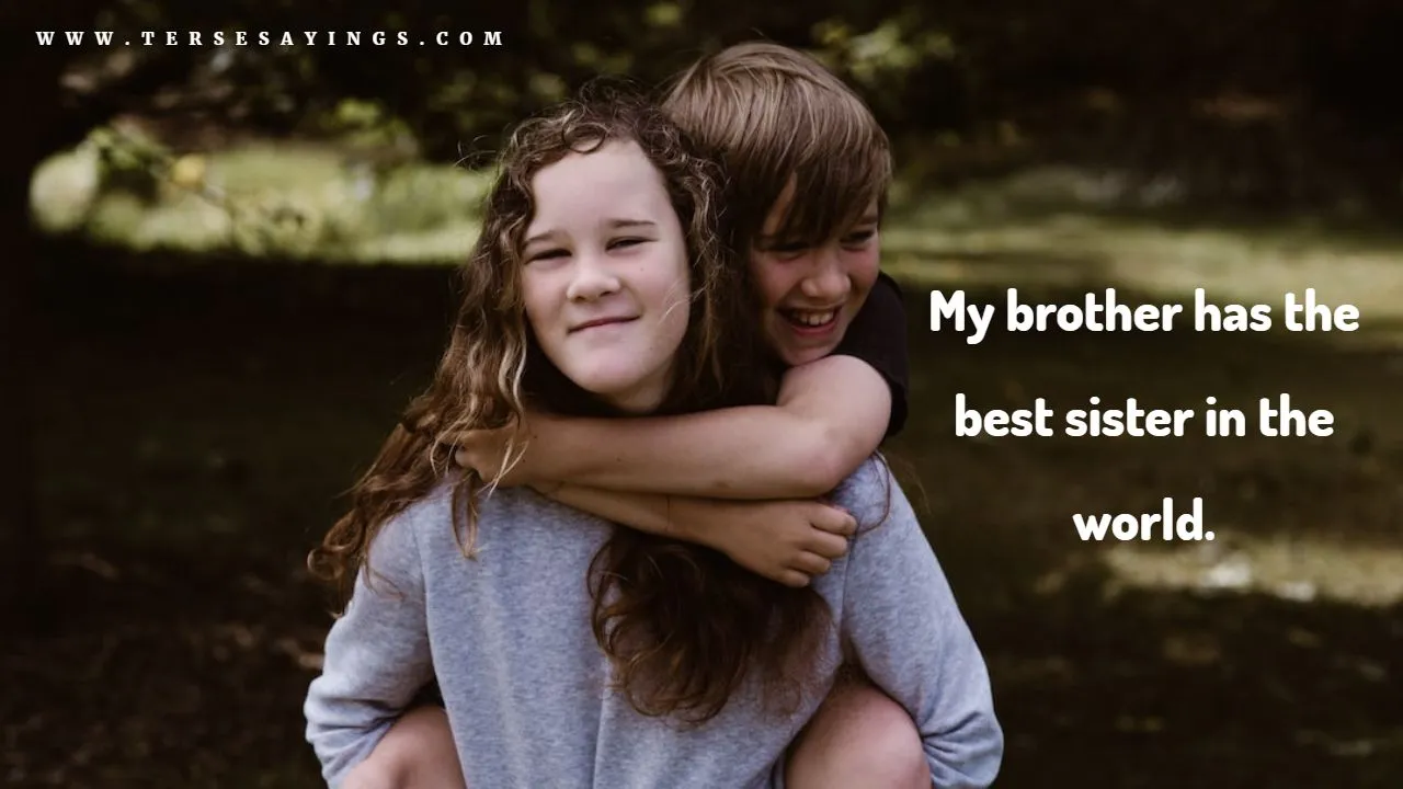 Funny Brother and Sister Quotes