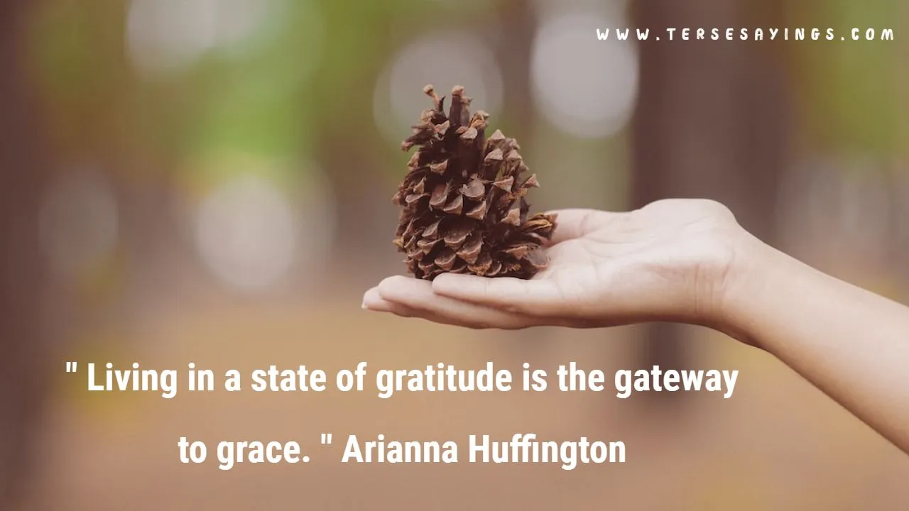 Short Gratitude Quotes