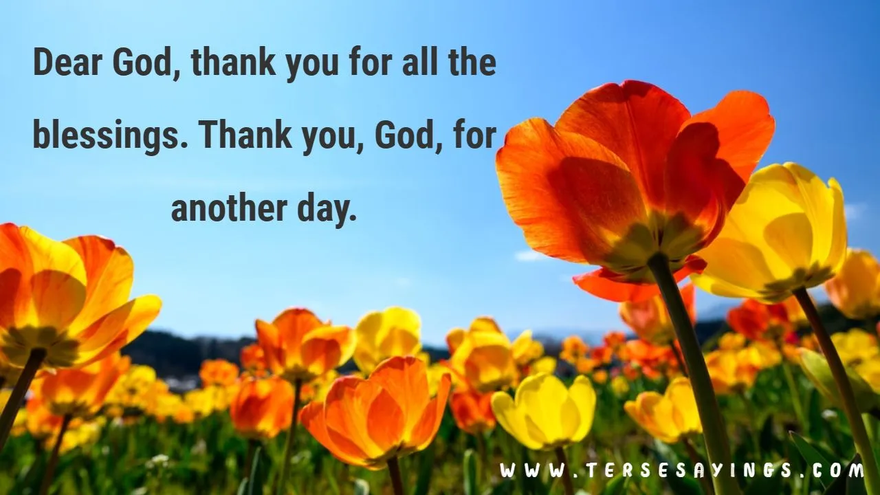 Thank You God for Everything