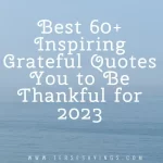 70+ Blessed And Grateful Quotes of Thankfulness Into Your Life