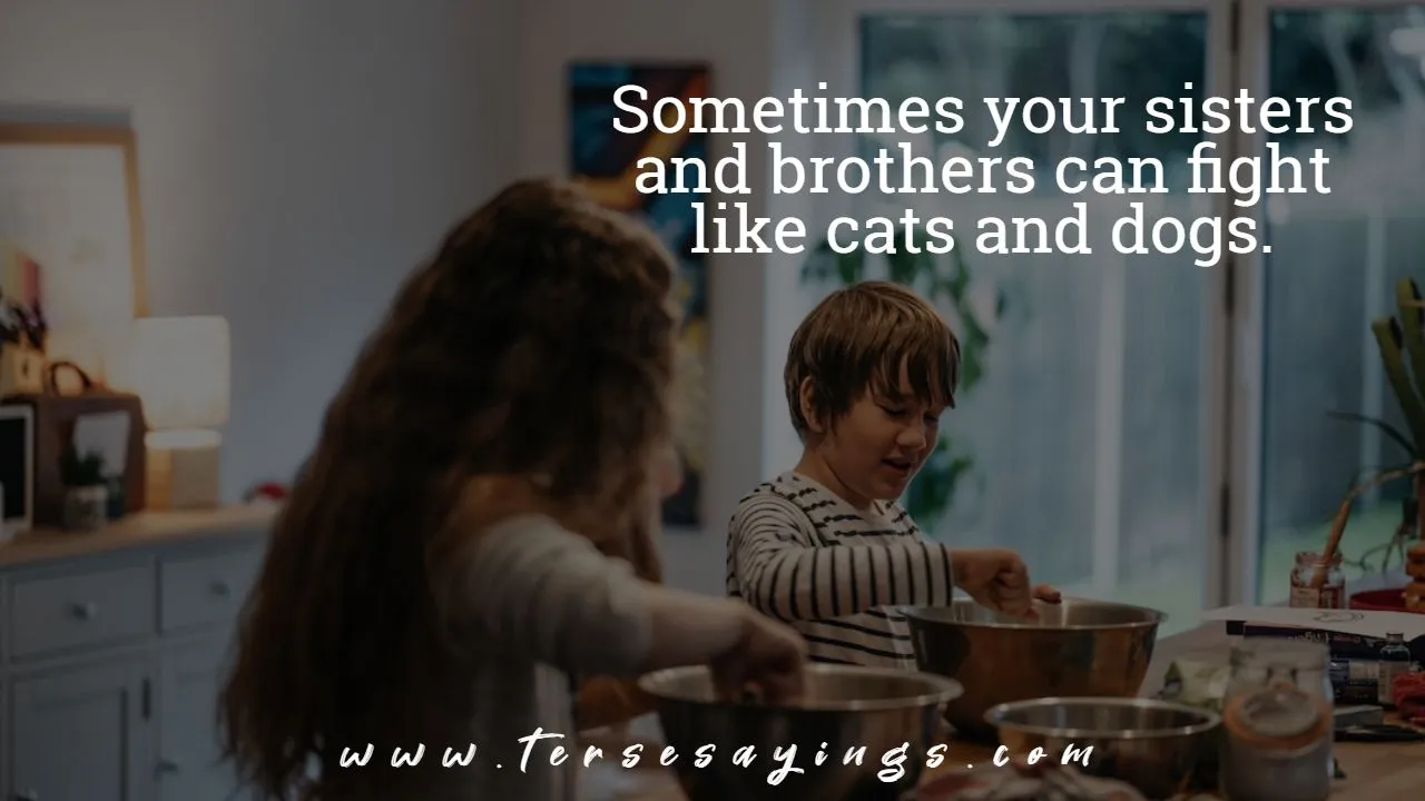 funny_brother_and_sister_quotes
