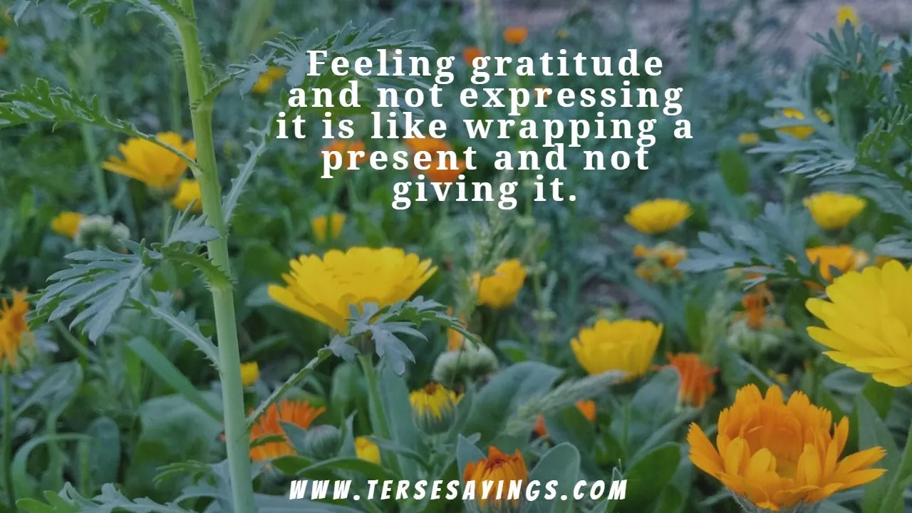 _inspiring_grateful_quotes