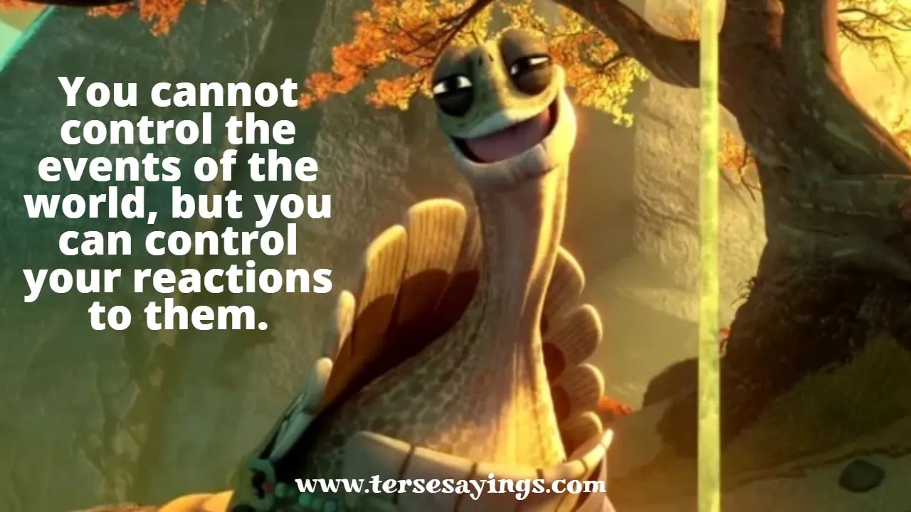 master_oogway_quotes_there_are_no_accidents