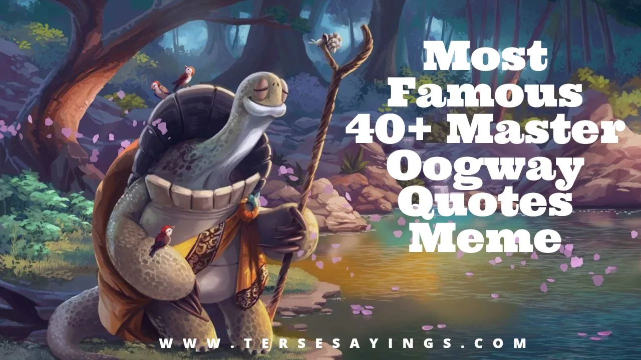 most_famous_40__master_oogway_quotes_meme