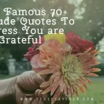 Popular 60+ Grateful for Life Quotes