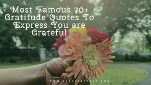 Most Famous 70+ Gratitude Quotes To Express You are Grateful