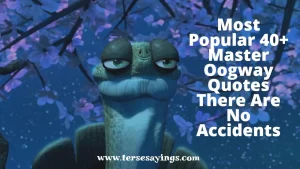 Most Popular 40+ Master Oogway Quotes There Are No Accidents
