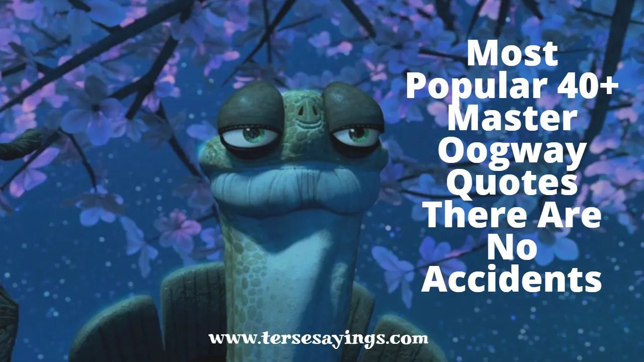 most_popular_40__master_oogway_quotes_there_are_no_accidents