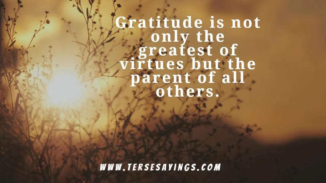 thankful_and_grateful_quotes